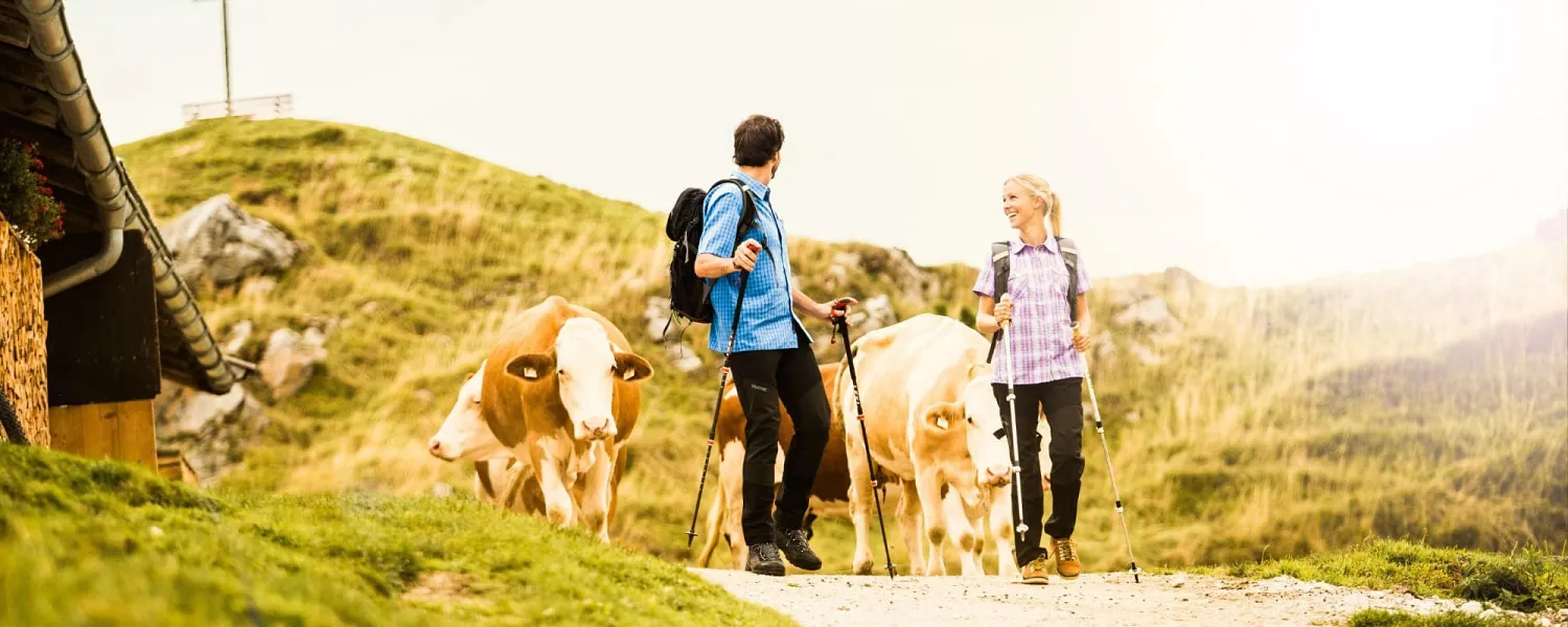 2_wandernindernaturkitzbueheleralpen.jpg
